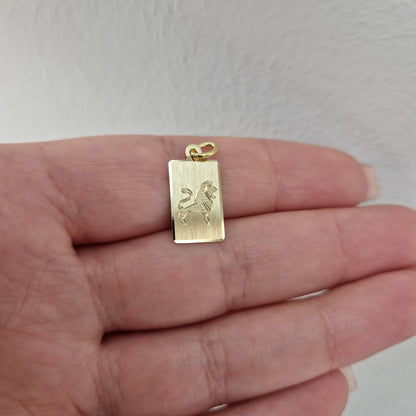 Hängsmycke Stjärntecken rektangulär